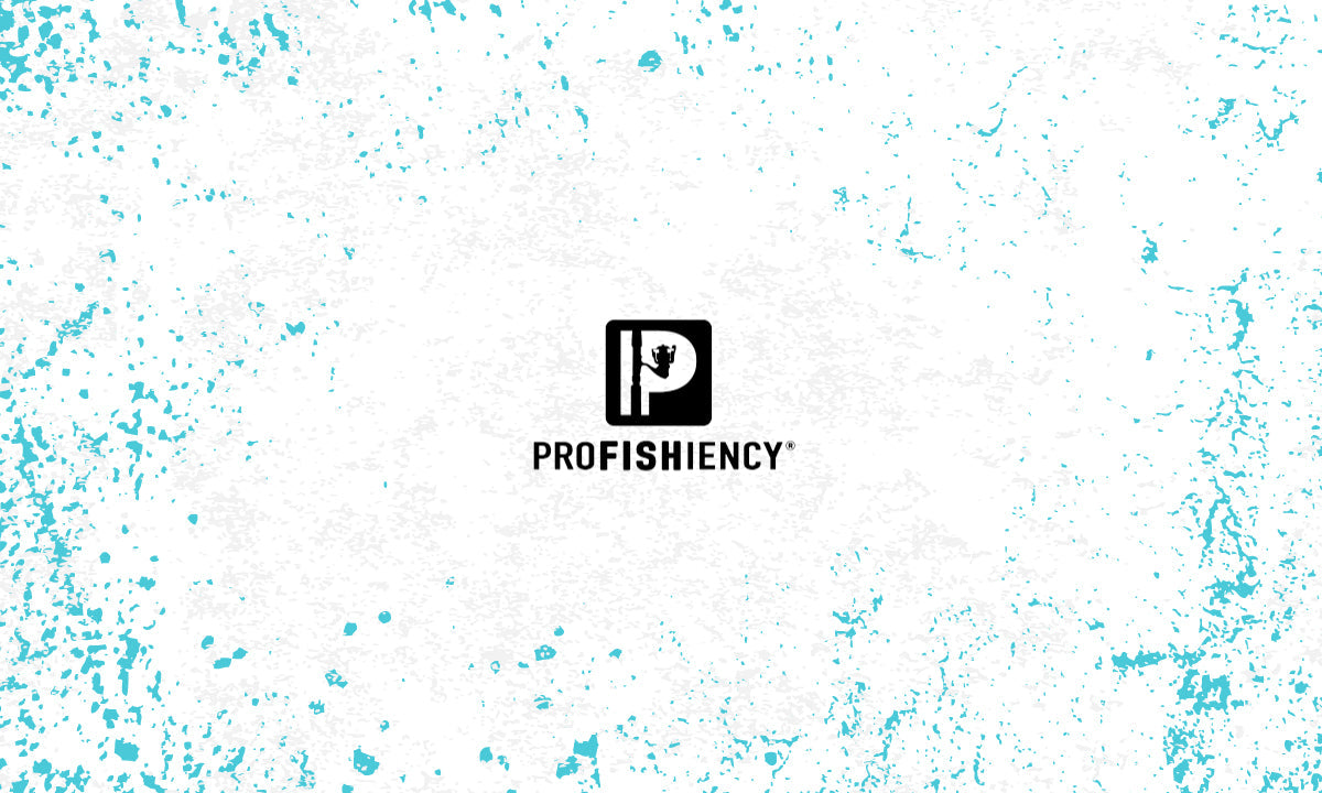 Profishiency
