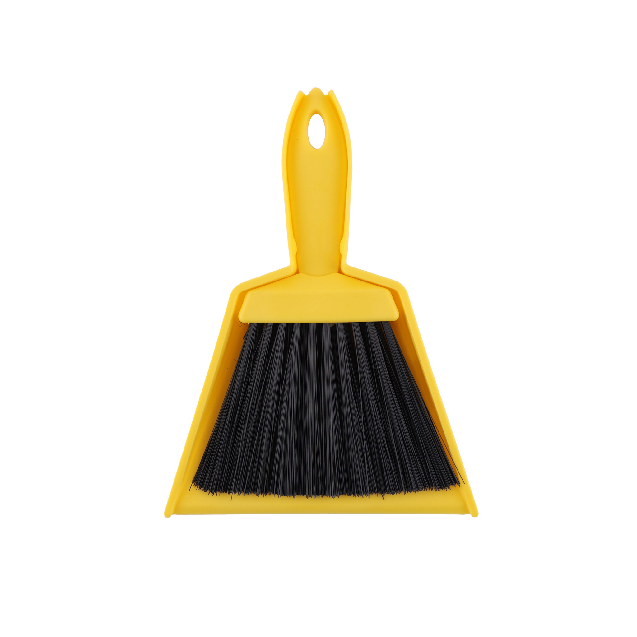 Coghlan's Whisk Broom & Dust Pan