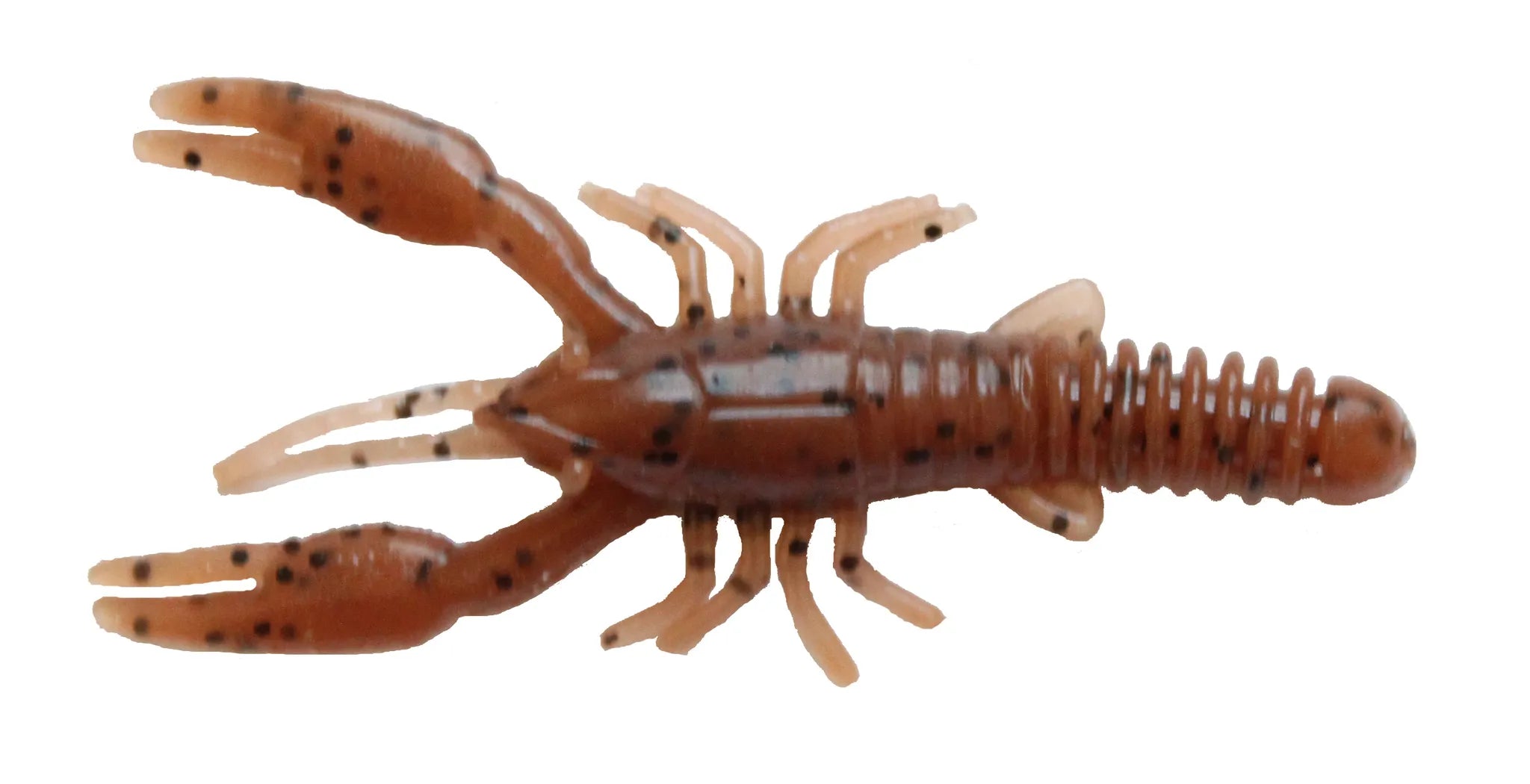 Fresh Water Basics Crawfish