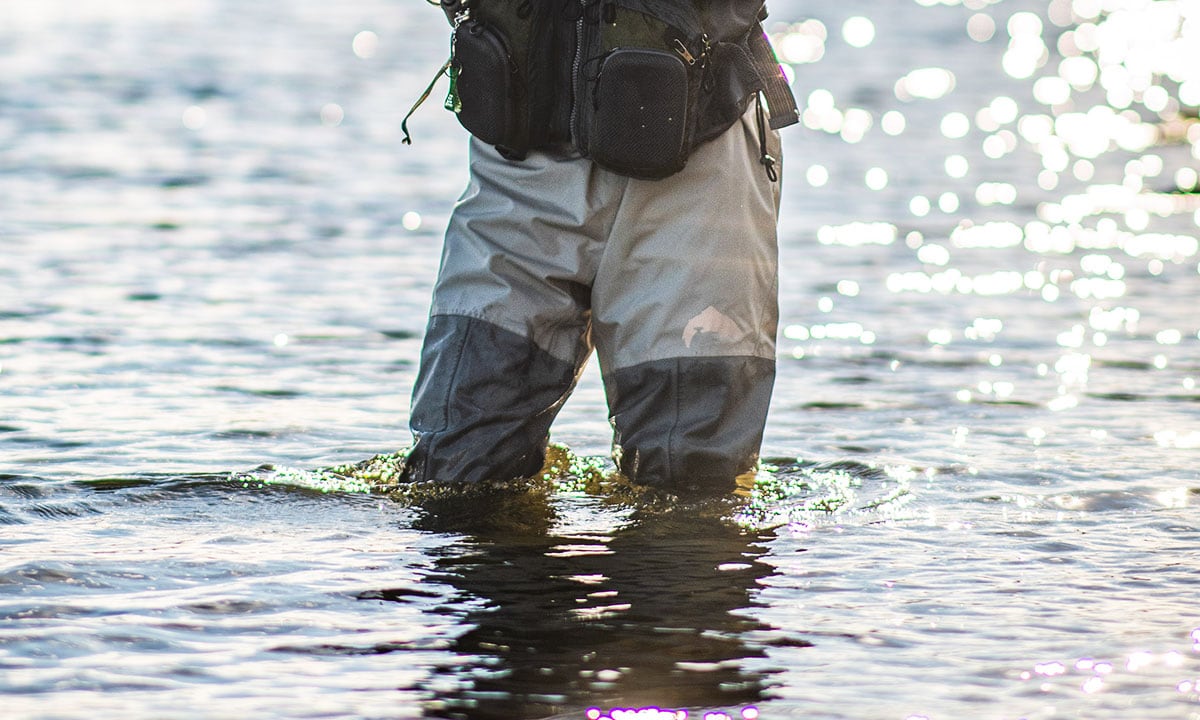 Waders