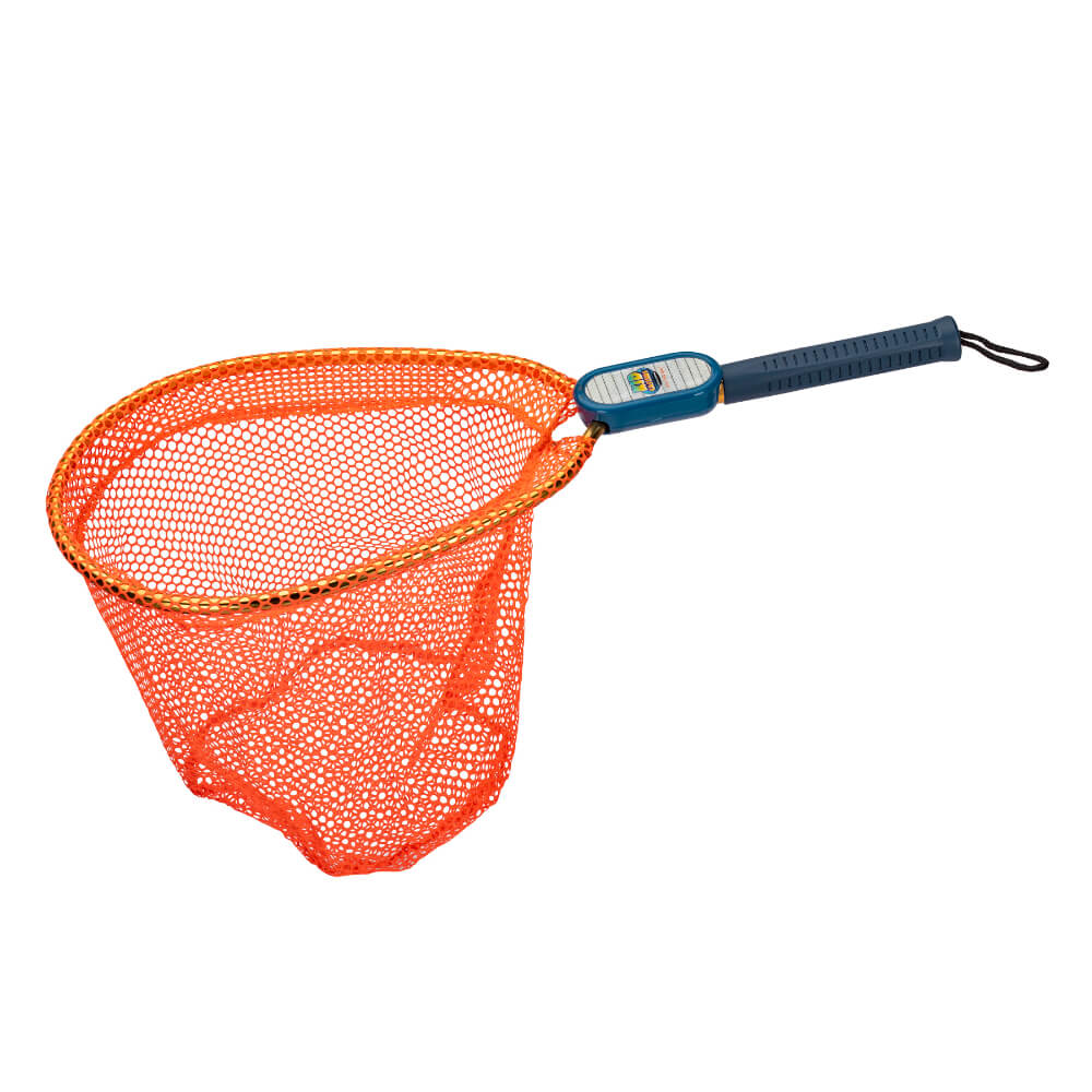 Profishiency Accessories